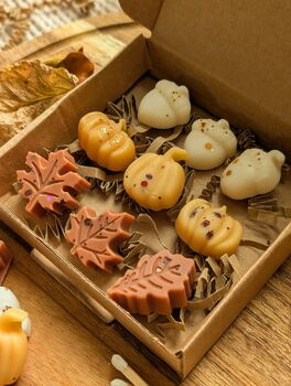 Autumnal Wax Melt Selection Box For Autumn Decor, 3 of 10