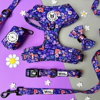 Ditsy Floral Padded Dog Collar, 8 of 8