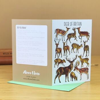 Deer Of Britain Blank Greeting Card, 2 of 9