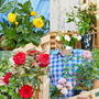 The Personalised Rose Garden Crate, thumbnail 1 of 6