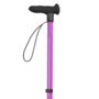 Purple Walking Stick, thumbnail 3 of 5
