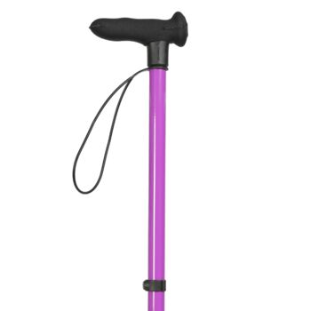 Purple Walking Stick, 3 of 5