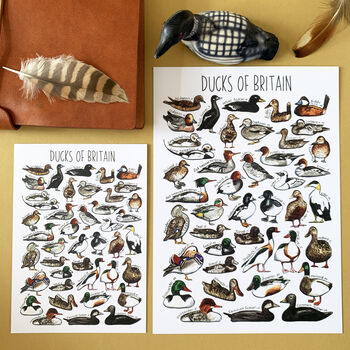 Ducks Of Britain Watercolour Postcard, 3 of 12