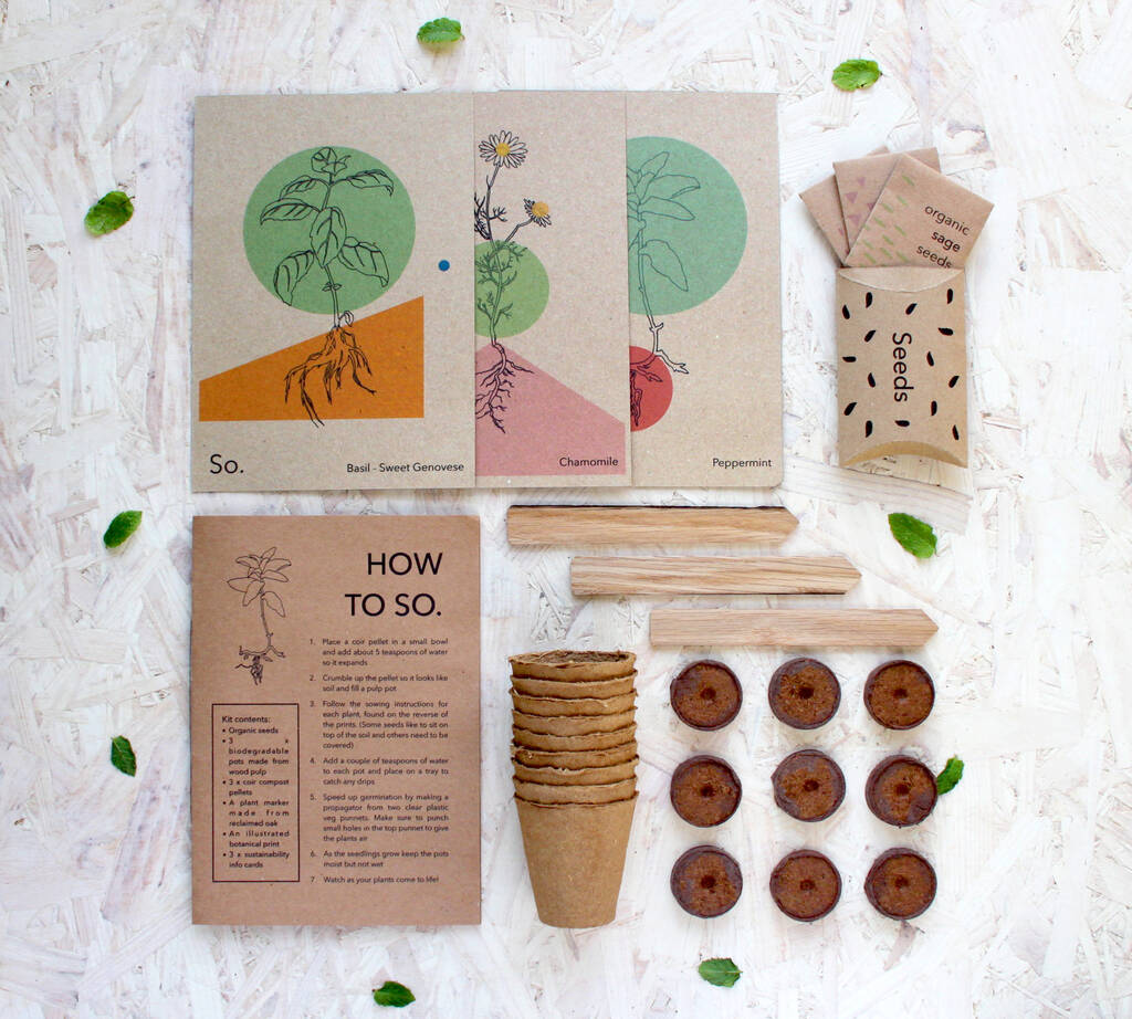 Grow Your Own Herbal Tea Seed Kit By So. Seed Kits