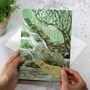 Plantable Wetland Creatures Seed Paper Card Set, thumbnail 6 of 10