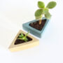 Concrete Mini Triangular Planter Vessel, thumbnail 4 of 11