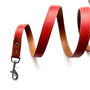Red Leather Dog Lead, thumbnail 4 of 6