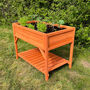 Wooden Raised Herb Planter With Two Liners, thumbnail 1 of 9