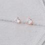 Sterling Silver Tiny Three Prong Cz Stud Earrings, thumbnail 6 of 12