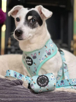 Mint Choc Chip Easter Bunny Dog Collar, 5 of 5