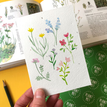 Wildflower Plantable Seed Card By Ruby & Bo