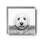 Peeking Cockerpoo Sofa Greeting Card – Cute Dog Lovers Card, thumbnail 1 of 4