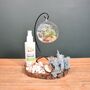 Diy Air Plant Terrarium Kit Hanging Terrarium Gift Light Blue, thumbnail 5 of 9