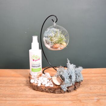 Diy Air Plant Terrarium Kit Hanging Terrarium Gift Light Blue, 5 of 9