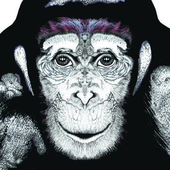 Personalised Chimp Champ Chimp Print, 3 of 4