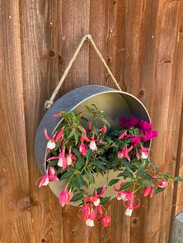 Hanging Zinc Silver Round Wall Planter Flower Pot, 4 of 5