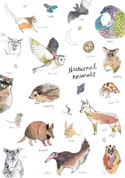 Nocturnal Animal Art Print, 2 of 2