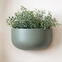 Ceramic 'Wide' Wall Planters, thumbnail 2 of 7