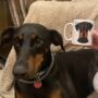 Personalised Dog Illustration Dog Lover Pet Lover Mug, thumbnail 2 of 12