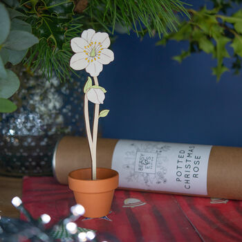 Wooden Christmas Rose With Personalised Terracotta Pot, 8 of 8