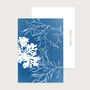Seaweed Postcards Set Of 10 | Fan And Siphon Weed, thumbnail 1 of 2