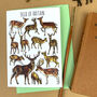 Deer Of Britain Blank Greeting Card, thumbnail 7 of 9