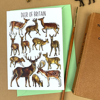 Deer Of Britain Blank Greeting Card, 7 of 9