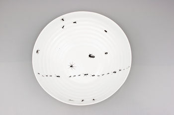 Bowl With Insects, 5 of 12