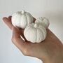 Concrete Pumpkins, thumbnail 6 of 6