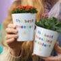 Personalised Teacher Or Teaching Assistant Plant Pot, thumbnail 1 of 6