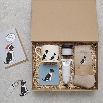 Springer Spaniel Dog Walking Socks The Perfect Gift For Dog Lovers, 6 of 12
