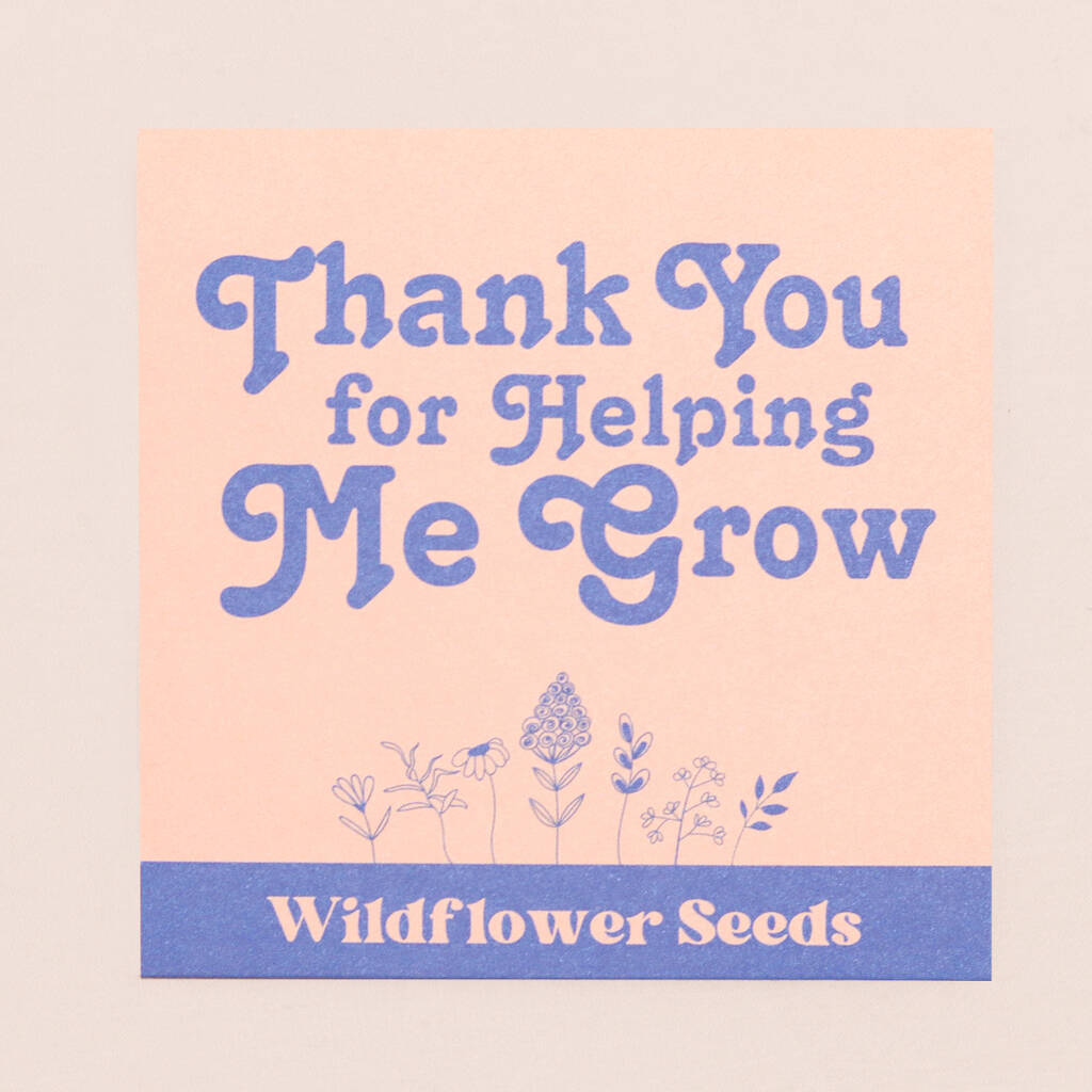 Thank You For Helping Me Grow Teacher Wildflower Seeds, 1 of 2