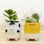 Cow Chick Planter With Choice Of Plant, thumbnail 1 of 6