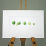 Brussels Sprouts Limited Edition Print, thumbnail 1 of 3