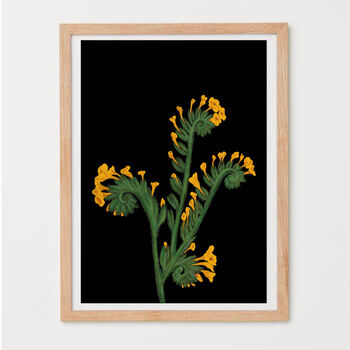 Fiddleneck Wildflower Art Print, 2 of 2
