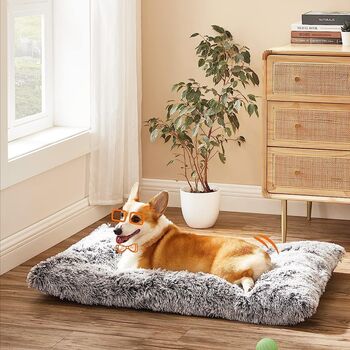 Dog Bed Cushion Pet Padded Fluffy Mat Plush, 3 of 11