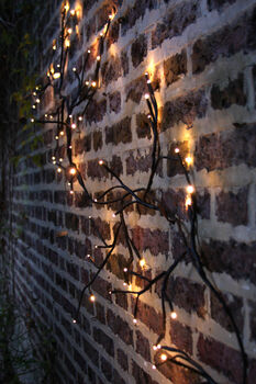 Solar Ivy Branch Lights, 2 of 3