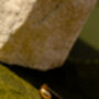 Teardrop Stud Earrings, thumbnail 5 of 5