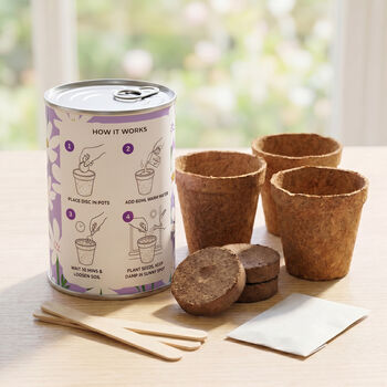 Personalised May Grow Your Own Flower Gift, 4 of 4