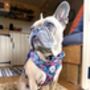 Candy Floral Adjustable Padded Dog Harness, thumbnail 9 of 10