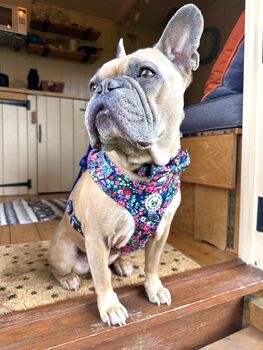 Candy Floral Adjustable Padded Dog Harness, 9 of 10