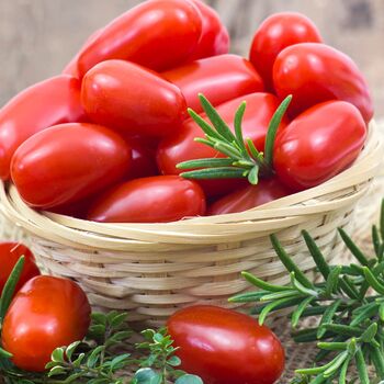 Tomato Plants 'Plum Roma' Six X Large Plug Plant Pack, 4 of 5