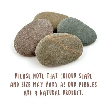 Pet Memorial Pebble, 7 of 7