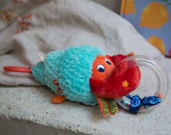 Brave Little Crab Activity Toy, 3 of 8
