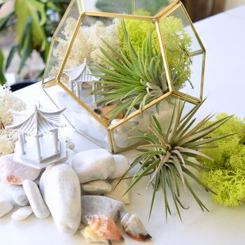 Gold Geometric Terrarium Kit With Air Plant Lover Gift Mother's Day, 2 of 9