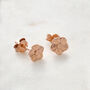 Tiny Forget Me Not Gold Vermeil Studs, thumbnail 9 of 12