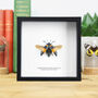 Orange Striped Jewel Beetle Handcrafted Frame, thumbnail 1 of 3