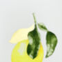 Amalfi Lemon Gold Leaf Watercolour Print, thumbnail 4 of 5