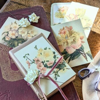 Nostalgic Floral Botanical Postcards In A Tin | 20 Pcs, 8 of 12