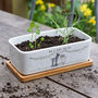 Personalised Mr And Mrs Welly Ceramic Bamboo Planter, thumbnail 2 of 5